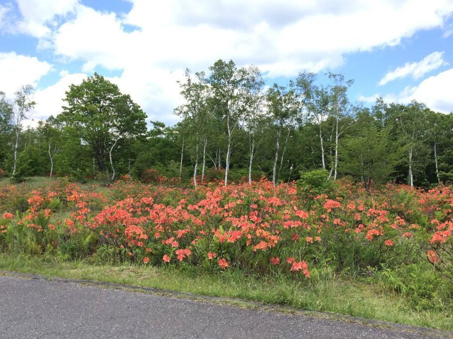乗鞍高原の宿テンガロンハットb&Btengallonhat Мацумото Экстерьер фото